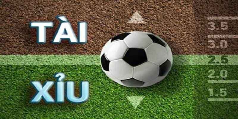 đọc vị tài xỉu Các bước cơ bản để đọc vị tài xỉu chuẩn xác tại Go88